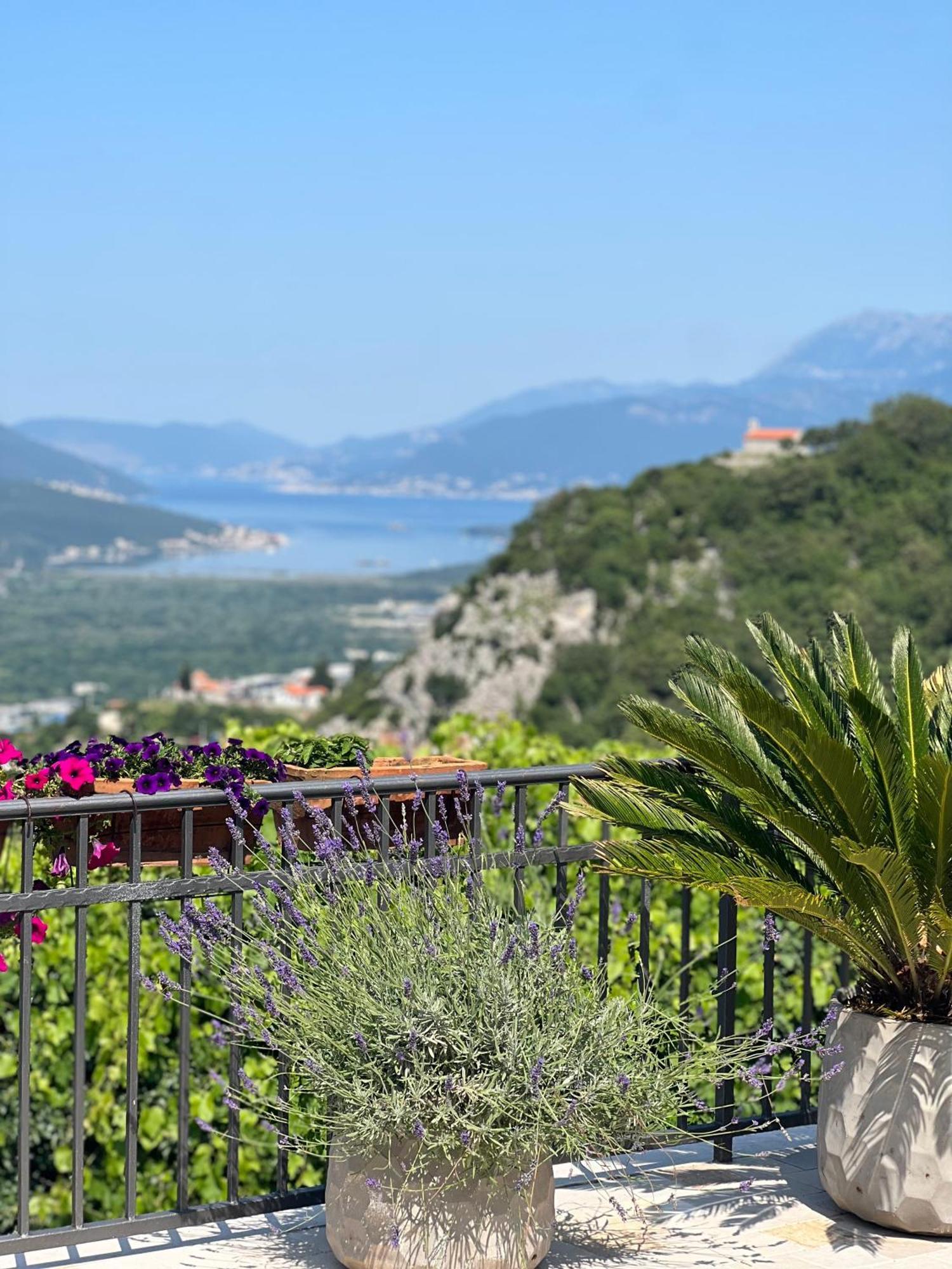 Villa Nikoleta Котор Экстерьер фото